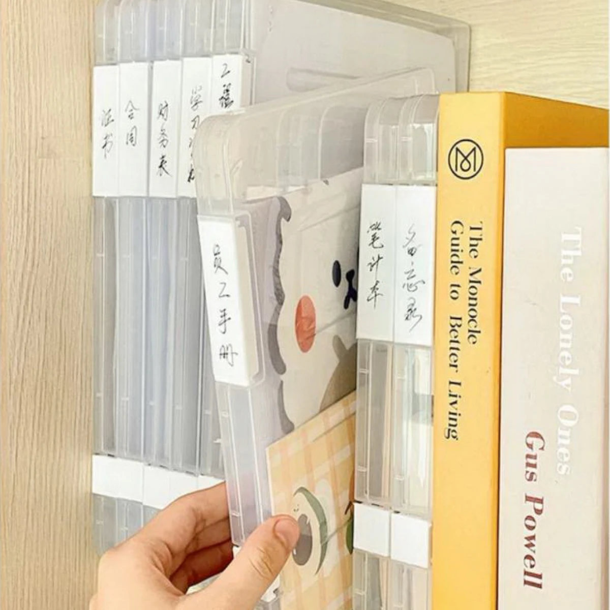 Plastic Clear File Storage Box, PP Material, Transparent Flat Rectangular Storage Box, Waterproof Dustproof Office File Box