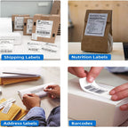 4x6 Thermal Direct Shipping Label,Pack of 500 Fan-Fold Labels, Permanent Adhesive, Commercial Grade Thermal Shipping Labels