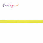 BRISTLEGRASS 2 5 10 Yard Flat Skinny Elastic Cord 1/4" 6mm Latex Rubber Bands Stretch String Notebook Ear Loop Dress Sewing Trim
