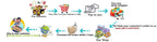 Garden Nitrile Gloves Latex Cleaning Food Gloves Universal Household Garden Cleaning Gloves Home Cleaning Rubber Glove