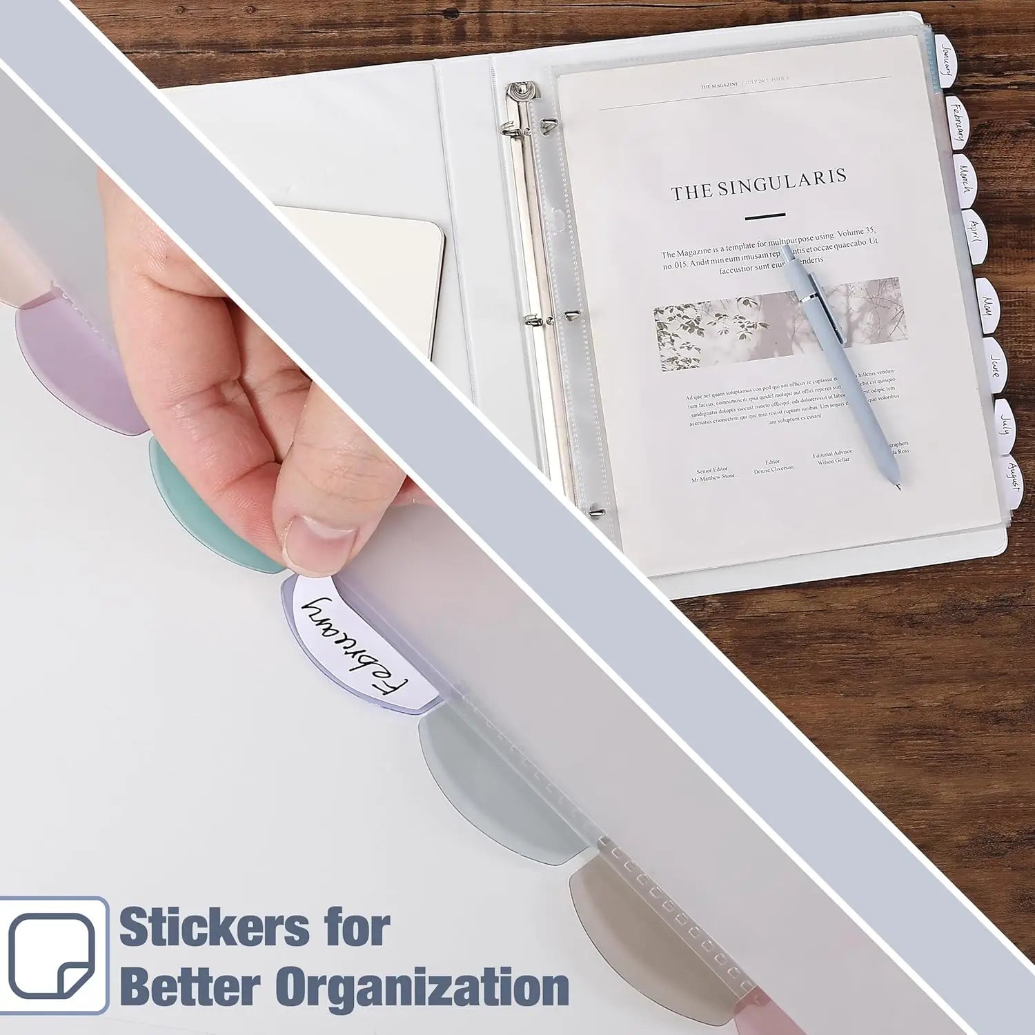 A4 Clear Sheet Protectors with Tabs, 8 Tabs, 2 Sets, Clear Plastic Dividers for 3 Ring Binder, Insertable Index Page Divider
