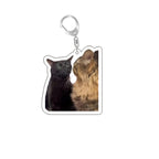 Funny Cat Memes Series Keychain Student Gift Bag Lanyard  Women's Bag Pendant Keychain Cute Things Cheap Gift For Best Friends