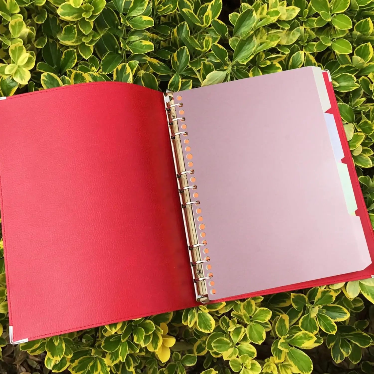 1sets 4pcs A4/B5/A5 PP Plastic Binder Index Divider Sheets 30 Holes Tab Divider for Notebook Rectangle Mixed Color