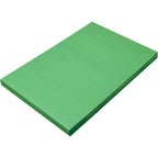 100 Sheets Holiday Green Construction Paper 12 inch by 18 inch, Formerly Branded SunWorks