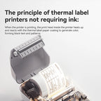 Niimbot B1 Pro Label Printer 300 DPI High-definition Red Black Color Printing Self-adhesive Photo Printing for Business Home