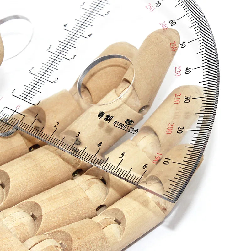 15 cm diameter medium size measuring instrument organic matter 180 degree semicircular protractor
