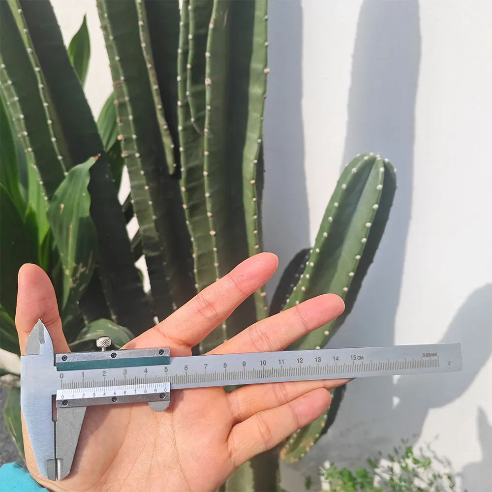 Stainless Steel Vernier Caliper Measuring Tool Sliding Gauge Inside Outside Thickness Depth Step Micrometer Accuracy Gauge 150mm