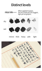 100ml/200ml/500ml Sumi Liquid Ink for Professioanl Traditional Calligraphy and Brush Painting Chinese Ink Writing Artworks