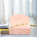 B6 Accordion Receipts Folder Portable Bills Organizer Coupon Holder File Organizer for Office School Home Use Sturdy Plastic