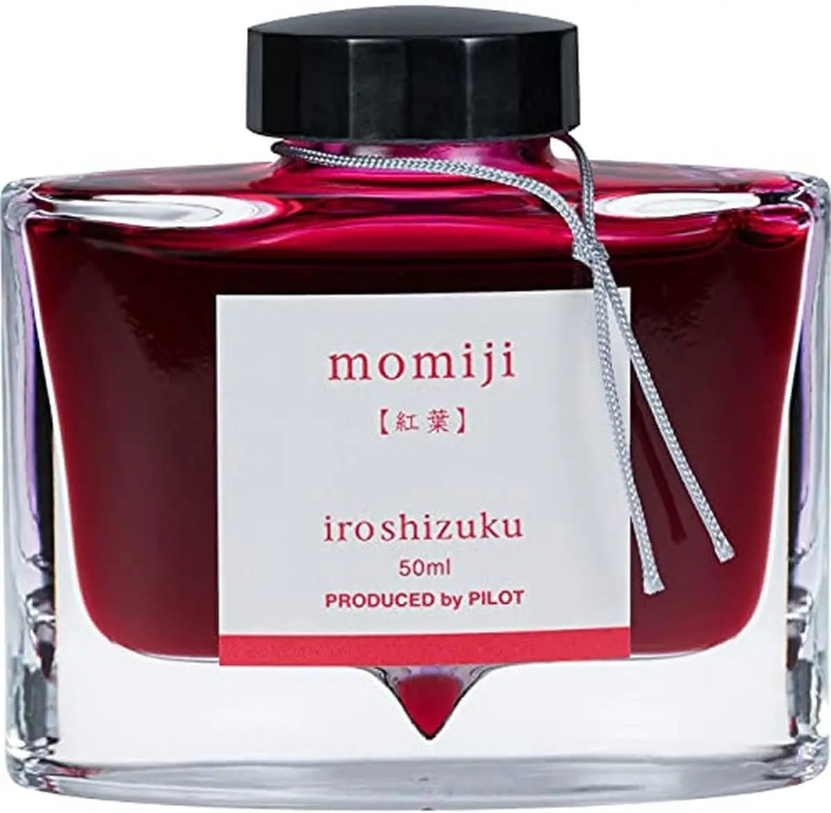 PILOT Iroshizuku Bottled Fountain Pen Ink, Take-Sumi,  50ml Bottle (69224)