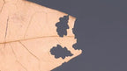 4 in 1 Model Scene Leaves Punch Leaf Model Puncher Sand Table Accessories Scenario Models Mini Hole Puncher Scrapbooking Tools