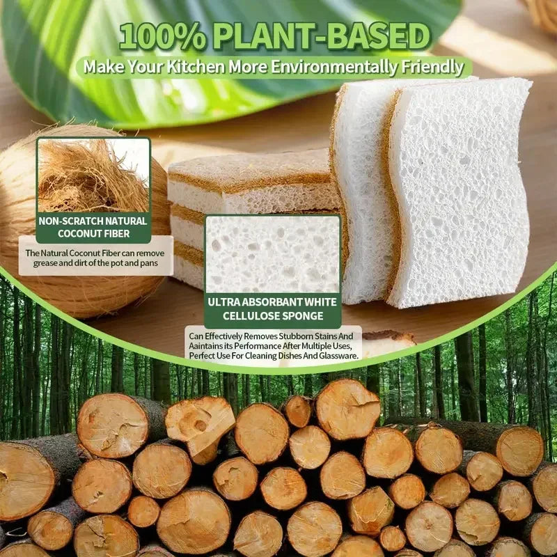 1/6/12Pcs Natural Kitchen Sponge Cellulose and Coconut Scrubber for Dishes Pack of Household Cleaning Sponges White