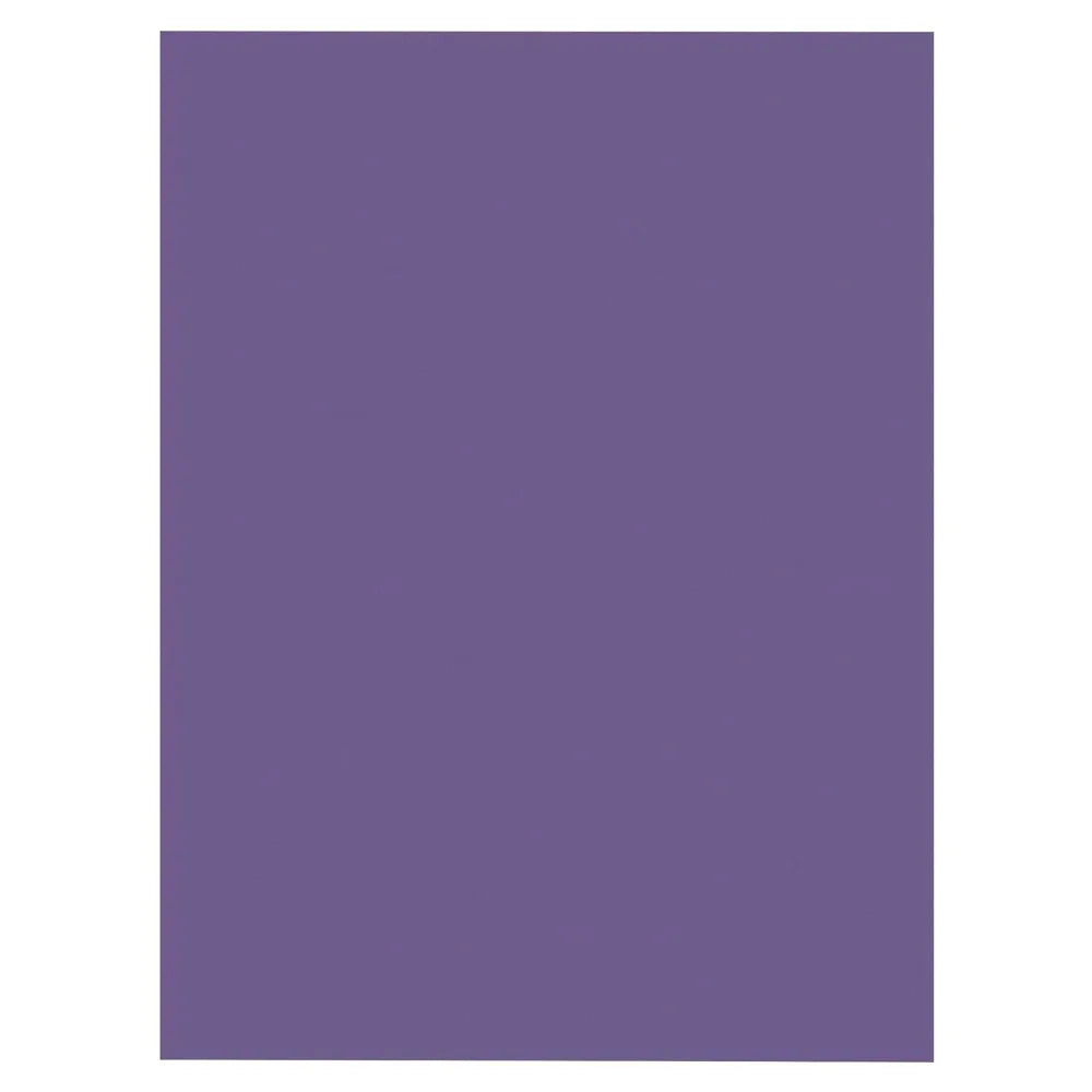 100 Sheets Violet Construction Paper 9x12 Inches Medium Weight Bulk Pack for Arts and Crafts School Projects Scrapbooking Card Making DIY Supplies
