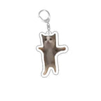 Funny Cat Memes Series Keychain Student Gift Bag Lanyard  Women's Bag Pendant Keychain Cute Things Cheap Gift For Best Friends