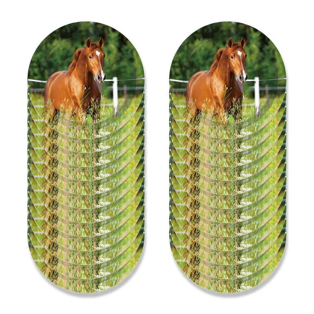 Horse Race Party Disposable Tableware Sets Plates Tablecloth Napkins Hanging Streamers Dinnerware For Birthday Party Decoration