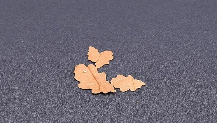 4 in 1 Model Scene Leaves Punch Leaf Model Puncher Sand Table Accessories Scenario Models Mini Hole Puncher Scrapbooking Tools