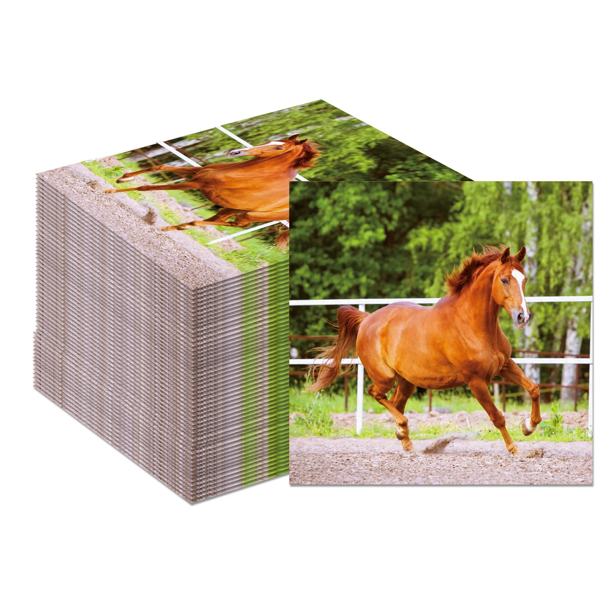 Horse Race Party Disposable Tableware Sets Plates Tablecloth Napkins Hanging Streamers Dinnerware For Birthday Party Decoration