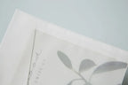 50pcs/lot Translucent Envelopes European Sulfuric Acid Paper Envelope for Wedding Invitation Business Supplies Giftbox Storage