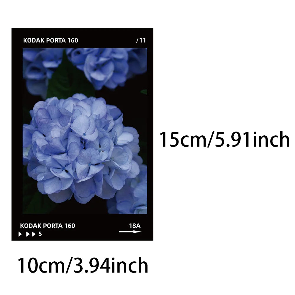 10pcs film style card romantic floral atmosphere feeling postcard niche premium DIY desktop wall dormitory room decoration