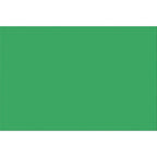 100 Sheets Holiday Green Construction Paper 12 inch by 18 inch, Formerly Branded SunWorks