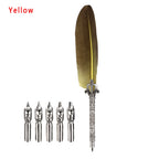1 Set New Luxury Feather Pen 5 Nib Vintage Quill English Calligraphy Signature Pen European Gift Box Scuba Dive Writing Tools