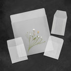 50pcs/lot Translucent Mini Envelope Jewelry Storage Bag for Card Earring Necklace Gift Packaging Bags Wedding Wedding Envelopes