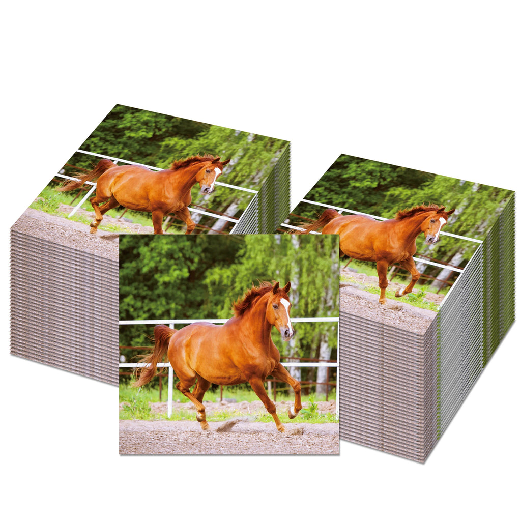 Horse Race Party Disposable Tableware Sets Plates Tablecloth Napkins Hanging Streamers Dinnerware For Birthday Party Decoration
