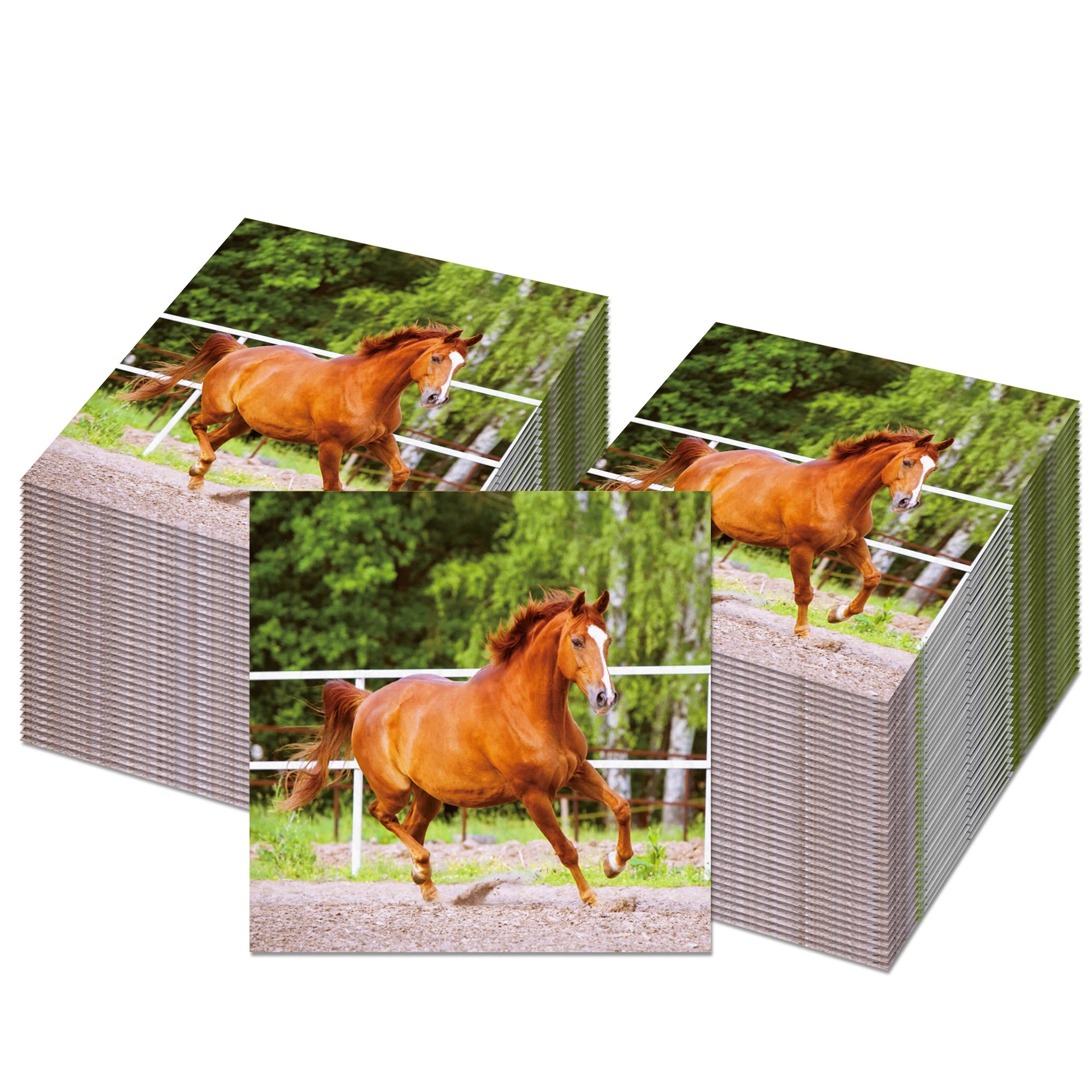 Horse Race Party Disposable Tableware Sets Plates Tablecloth Napkins Hanging Streamers Dinnerware For Birthday Party Decoration