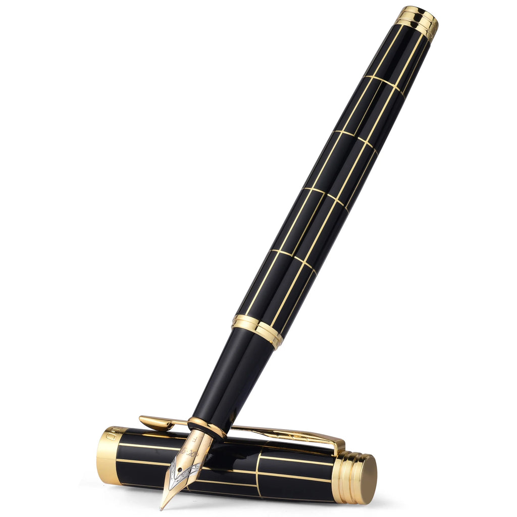 STONEGO Deluxe Metal Fountain Pen without Ink Refill Convertible Calligraphy Pen for Writing and Drawing