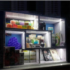 USB LED Strip Lights 2835 DC5V With Switch Flexible Lamp Tape Ribbon TV Desktop Computer Screen Background Lighting Home Decor