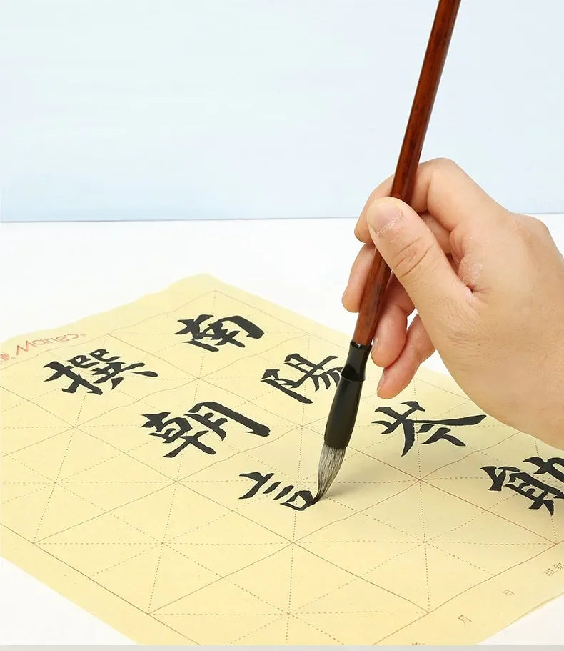 50ml/100ml/250ml Sumi Liquid Ink for Professioanl Traditional Calligraphy and Brush Painting Chinese Ink Writing Artworks