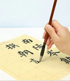 50ml/100ml/250ml Sumi Liquid Ink for Professioanl Traditional Calligraphy and Brush Painting Chinese Ink Writing Artworks