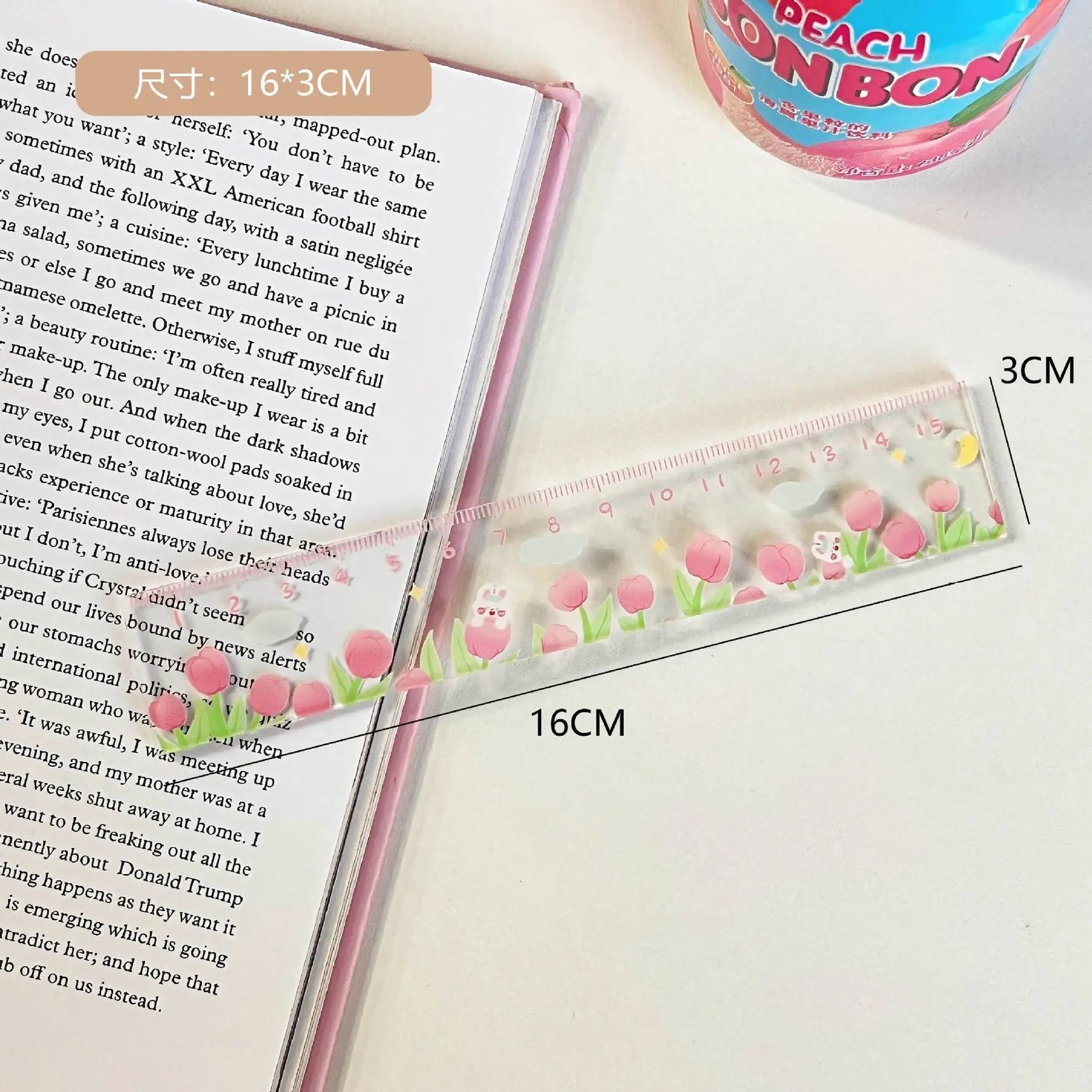 1 Piece Lytwtw's Cute Animals Straight Kawaii Christmas Ruler Tools Stationery Cartoon Drawing Office School Measuring