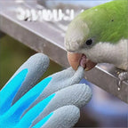 Kids Safety Protection Gloves Durable Waterproof Work Garden Non-Slip,Children Latex Gloves,Puncture-resistant,Kitchen