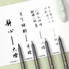 BAOKE 4-Size Calligraphy Pen Set for Writing, Drawing & Hand Lettering, Black Ink Brush Markers for Art, Calligraphy, Sketching