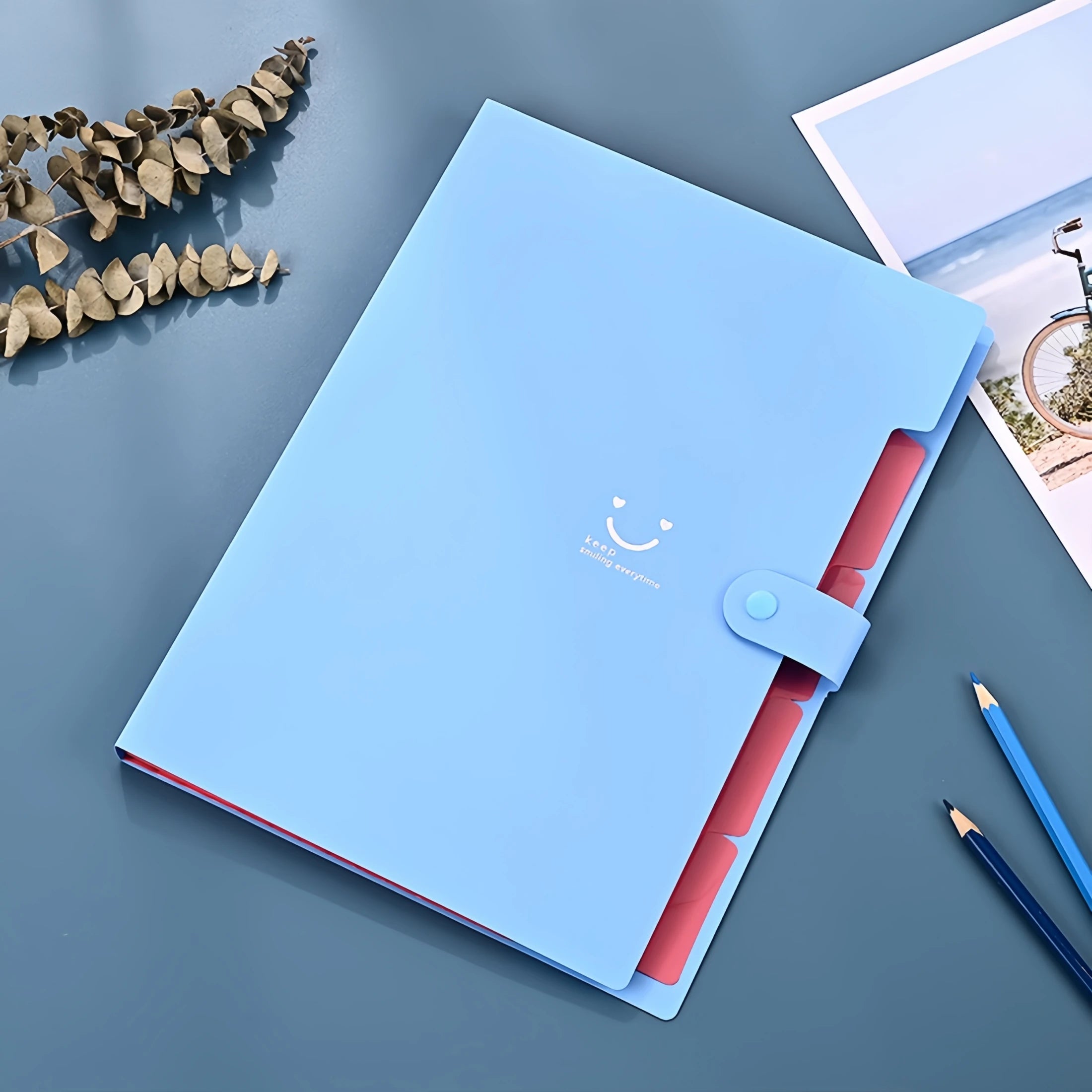 New Minimalist Accordion Bag For Cute And Smiling File Storage, With Multiple Layers.