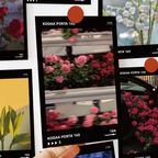 10pcs film style card romantic floral atmosphere feeling postcard niche premium DIY desktop wall dormitory room decoration