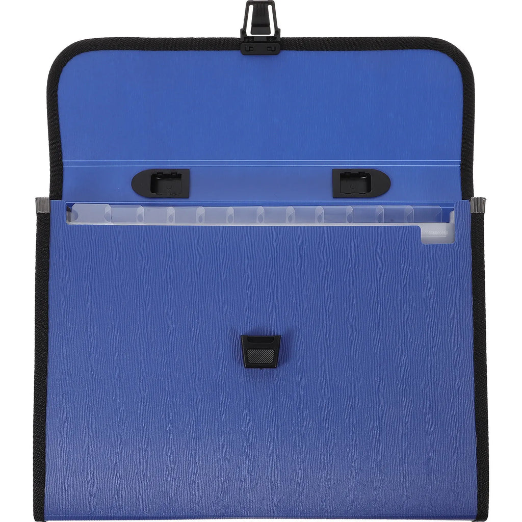 Accordion File Folder Expanding Business Organizer 12 Pockets Waterproof Buckle Handle Portable Folder for A4 Documents Art