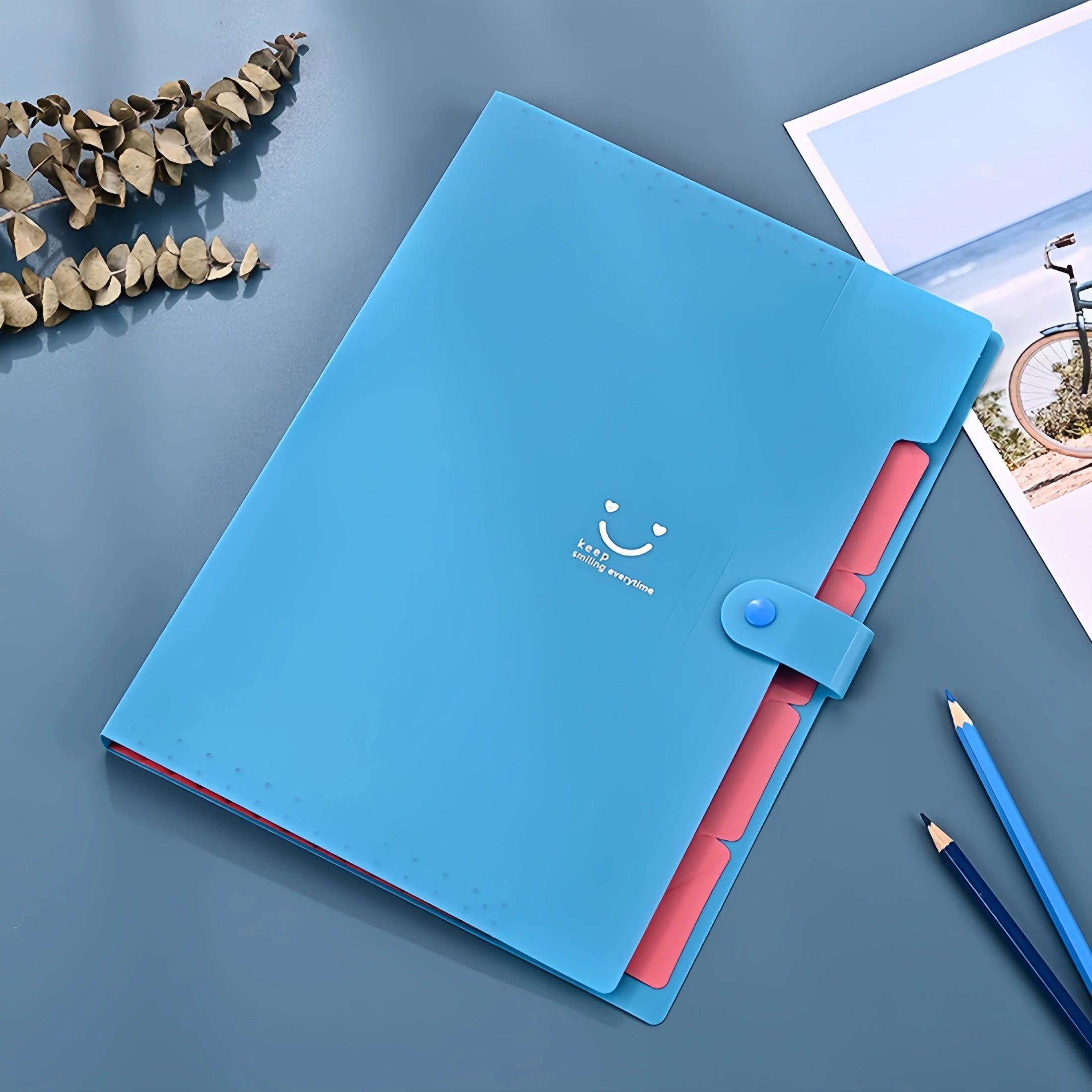 New Minimalist Accordion Bag For Cute And Smiling File Storage, With Multiple Layers.