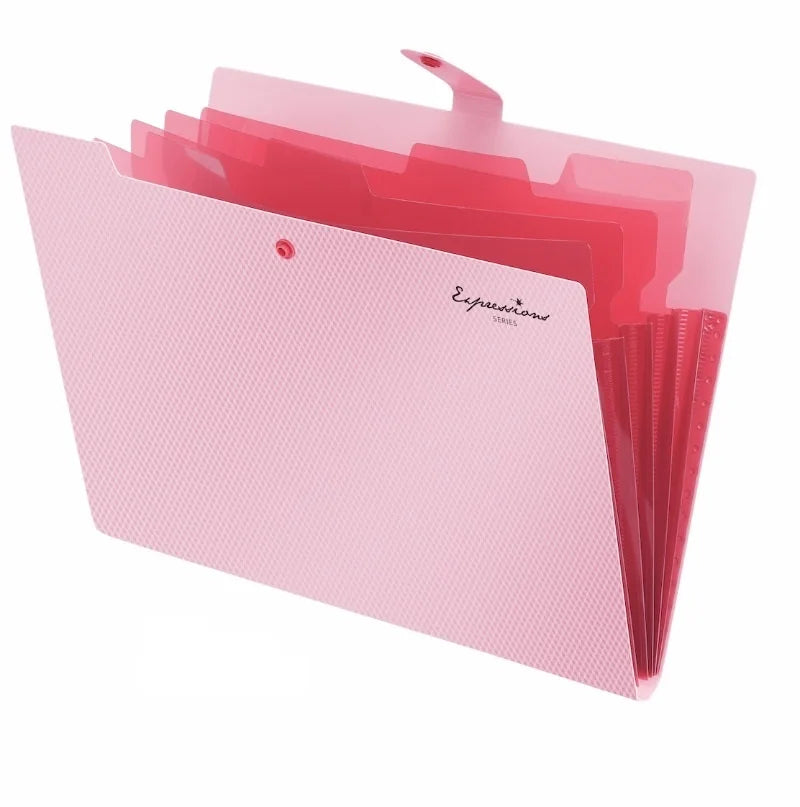 5 Pocket Plastic Pouch with Snap Button Accordion Folder File Organization A4 Size Document Folders WJJ06