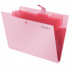 5 Pocket Plastic Pouch with Snap Button Accordion Folder File Organization A4 Size Document Folders WJJ06