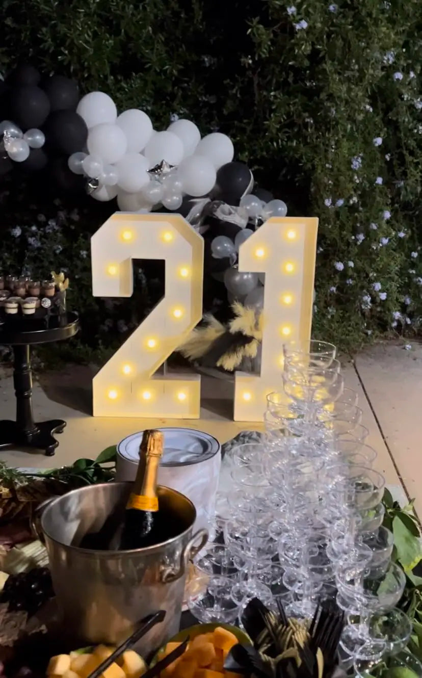 20-60PCS Acrylic Champagne Coupe Glasses Engagement Party Wedding Champagne Tower Prosecco Tower Martini Glasses 5oz