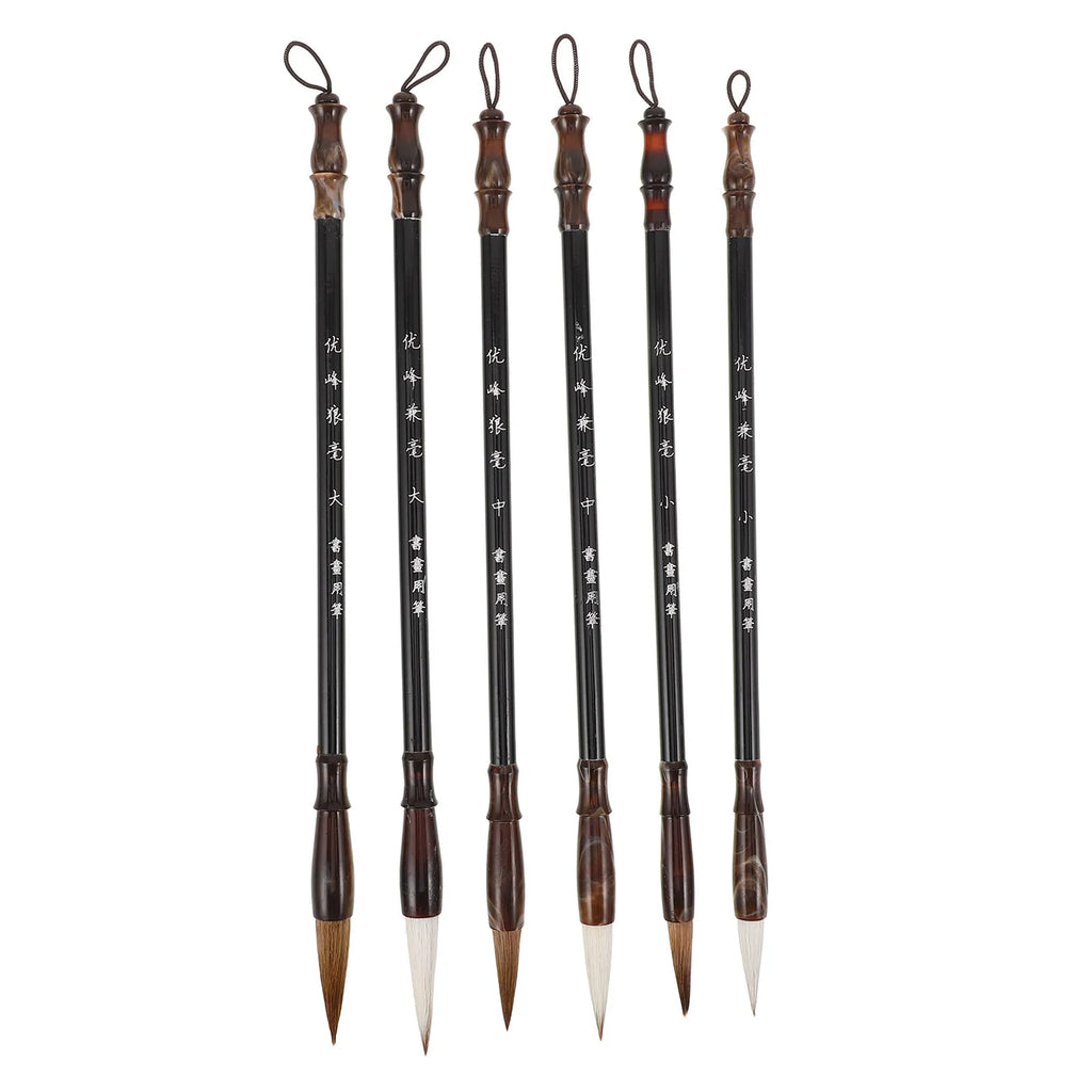 6Pcs Chinese Calligraphy Brush Set Professional Sumi Ink Brushes for Beginners Traditional Painting Writing on Rice Paper