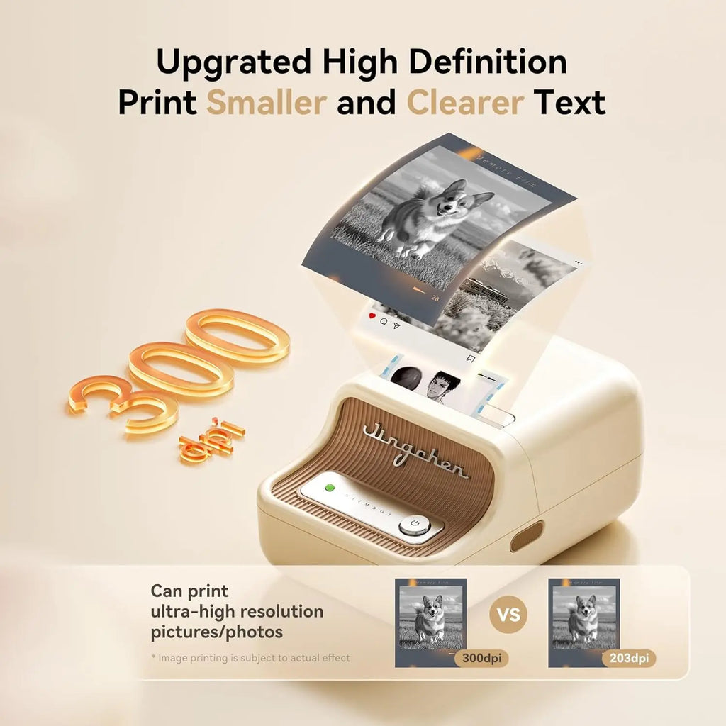 Niimbot 200dpiB21 300dpi B21PRO Label Maker Tag Price Portable Thermal Label Printer with White Photo Labels for Bakery/Business