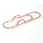 Anti Lost Paper Clip Metal Pen Holder Clips Portable Bookmarks Photo Memo Ticket Fixed Paperclips Office School Stationery