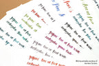 PILOT Original  Japan iroshizuku  Bokusui ink Coloring Ink supplies Ink supplies Natural color  50ML 24 colors