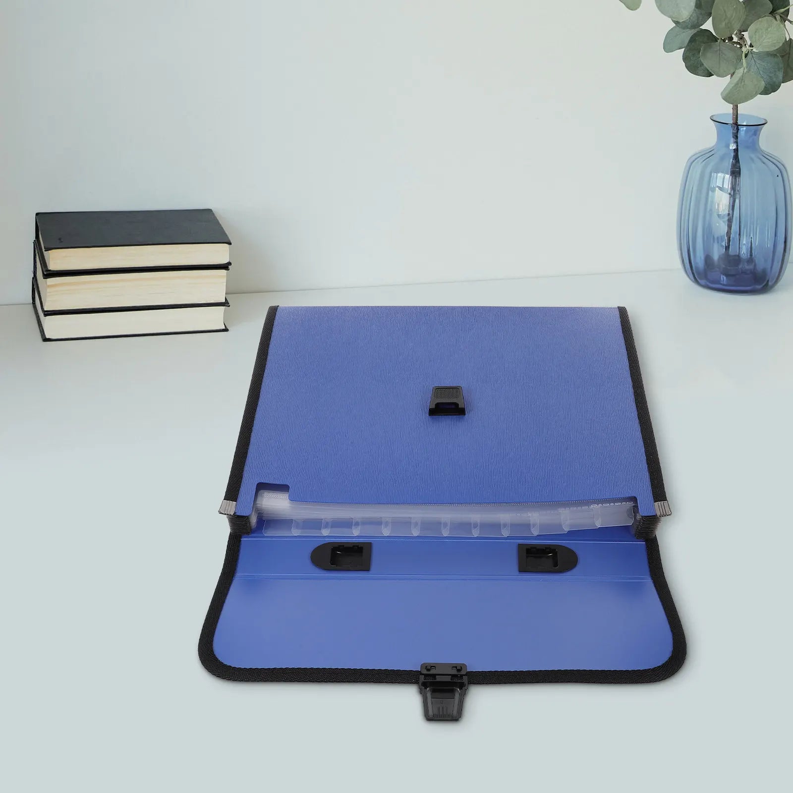 Accordion File Folder Expanding Business Organizer 12 Pockets Waterproof Buckle Handle Portable Folder for A4 Documents Art