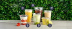 20 Clear Plastic Fruit Cups with Flat Lids PET Disposable Parfait Crystal Cups Suitable for Ice Coffee Juice and Beer Tumblers