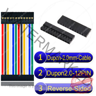 Dupont 2.0mm 12Pin Reverse-Side-Head Cable