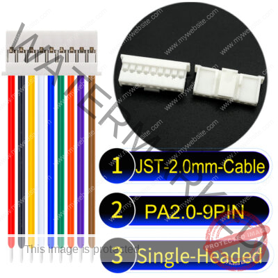 JST PA2.0 9Pin Single-Headed Cable